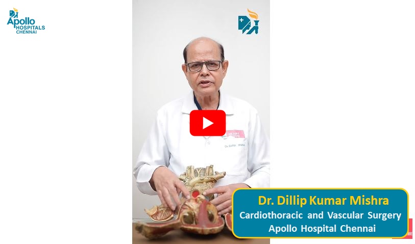dr dilip kumar mishra apollo hospital chennai