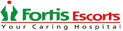 логотип Fortis