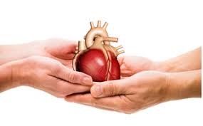 Cost of Heart Transplant Surgery in India