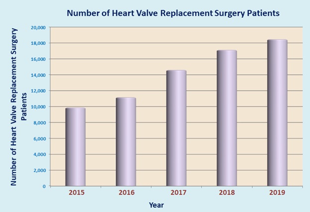 Heart Valve Replacement Surgery India